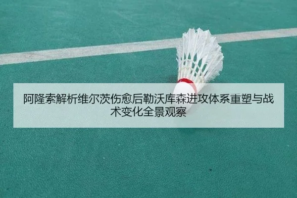 阿隆索解析维尔茨伤愈后勒沃库森进攻体系重塑与战术变化全景观察